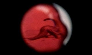 Under a microscope, the blood of the alien reveals earth's history, from its earliest times